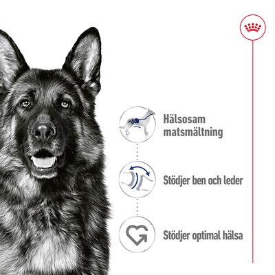 Illustration med hund och tre ikoner: Hälsosam matsmältning, Stödjer ben och leder, Stödjer optimal hälsa. Royal Canin-symbol synlig uppe till höger.