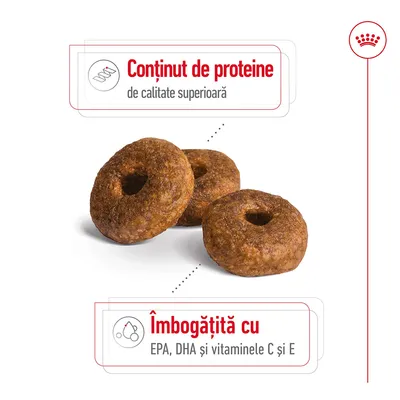 Trei crochete rotunde, text vizibil: „Conținut de proteine de calitate superioară”, „Îmbogățită cu EPA, DHA și vitaminele C și E”.