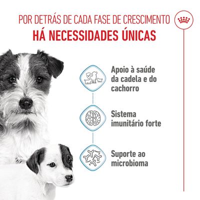 Royal Canin Mini Starter Mother & Babydog