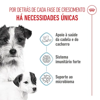 Royal Canin Mini Starter Mother & Babydog - 8 kg 
