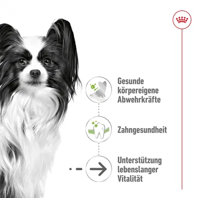Gesunde körpereigene Abwehrkräfte, Zahngesundheit und Unterstützung lebenslanger Vitalität. Produktvorteile dargestellt mit Symbolen neben einem Hundebild.