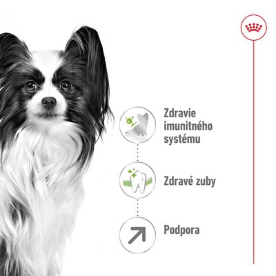 Zdravie imunitného systému, zdravé zuby, podpora – grafické ikony a text pri obrázku psa. Viditeľné logo Royal Canin vpravo hore.