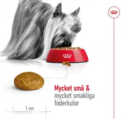 Hund äter ur röd matskål med Royal Canin-symbol. Närbild på foderkula, cirka 1 cm stor. Text: 'Mycket små & mycket smakliga foderkulor'.