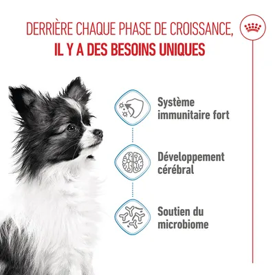 Système immunitaire fort, développement cérébral, soutien du microbiome. Chaque phase de croissance correspond à des besoins uniques.