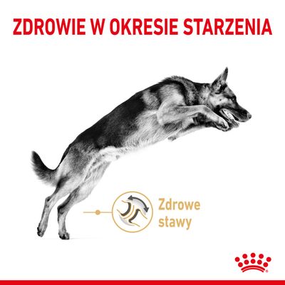 Zdrowie w okresie starzenia, Zdrowe stawy. Pies w skoku, grafika stawu, logo Royal Canin w prawym dolnym rogu.
