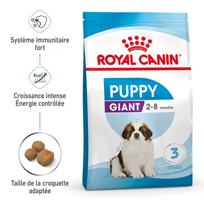 Royal Canin Puppy Giant 2–8 months, système immunitaire fort, croissance intense énergie contrôlée, taille de la croquette adaptée, sac avec chiot et croquettes visibles.