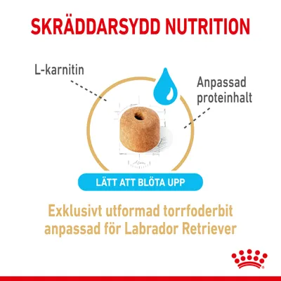 Skräddarsydd nutrition, L-karnitin, anpassad proteinhalt, lätt att blöta upp. Exklusivt utformad torrfoderbit anpassad för Labrador Retriever.