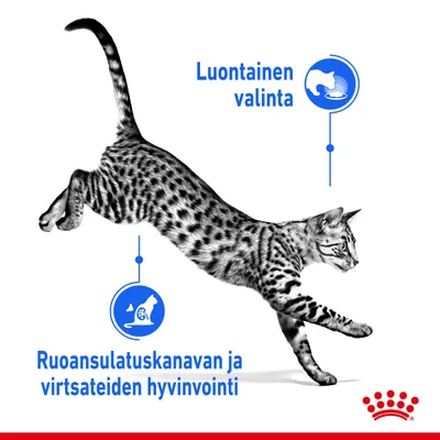 Luontainen valinta. Ruoansulatuskanavan ja virtsateiden hyvinvointi. Kuvassa hyppäävä kissa, Royal Canin -logo alareunassa.