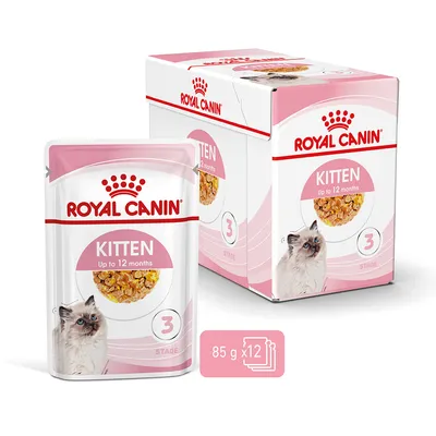 Royal Canin Kitten Up to 12 months, sachet et boîte avec chaton, 3e étape, lot de 12 x 85 g visibles sur l’emballage.