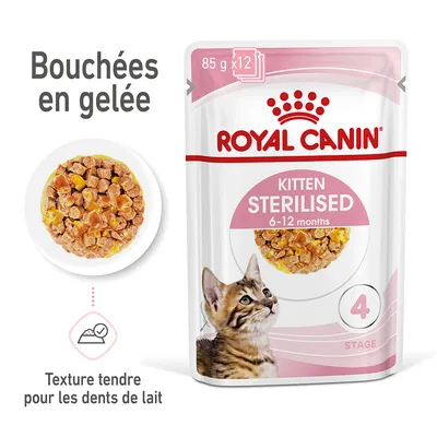 Royal Canin FHN Sterilised Kitten en gelée pour chaton – 12 x 85 g Royal Canin FHN Sterilised Kitten en gelée pour chaton – 12 x 85 g