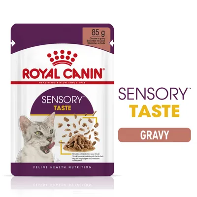 ROYAL CANIN SENSORY TASTE GRAVY, 85 g. Εικόνα συσκευασίας με γάτα και κομμάτια τροφής σε σάλτσα. Κείμενο: Feline Health Nutrition.