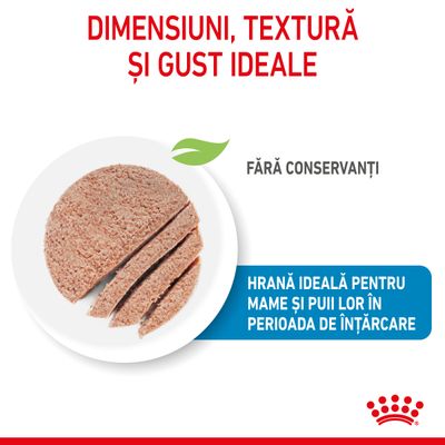 Dimensiuni, textură și gust ideale. Fără conservanți. Hrană ideală pentru mame și puii lor în perioada de înțărcare. Imagine cu felii de hrană pe farfurie.