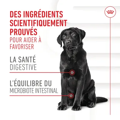 Des ingrédients scientifiquement prouvés pour aider à favoriser la santé digestive et l’équilibre du microbiote intestinal. Texte en français belge.