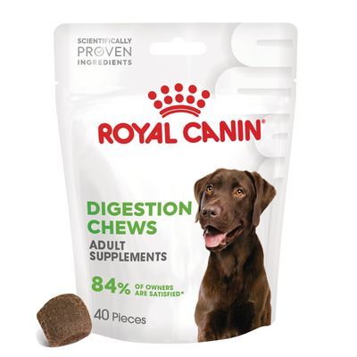 Royal Canin Digestion Adult Supplement Kauwsnacks
