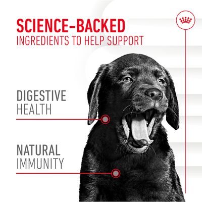 Science-backed ingredients to help support digestive health and natural immunity, shown with a black dog. Key benefits highlighted for product selection.