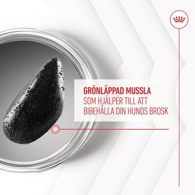 GRÖNLÄPPAD MUSSLA SOM HJÄLPER TILL ATT BIBEHÅLLA DIN HUNDS BROSK (text på bilden, svenska). Bild på en grönläppad mussla i glasbehållare.