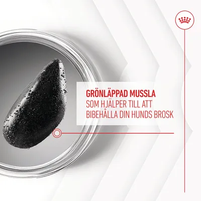 GRÖNLÄPPAD MUSSLA SOM HJÄLPER TILL ATT BIBEHÅLLA DIN HUNDS BROSK (text på bilden, svenska). Bild på en grönläppad mussla i glasbehållare.