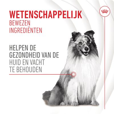 Wetenschappelijk bewezen ingrediënten helpen de gezondheid van de huid en vacht te behouden. Afbeelding van een hond. Tekst in het Nederlands.