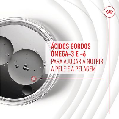Ácidos gordos ómega-3 e -6 para ajudar a nutrir a pele e a pelagem
