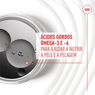 Ácidos gordos ómega-3 e -6 para ajudar a nutrir a pele e a pelagem