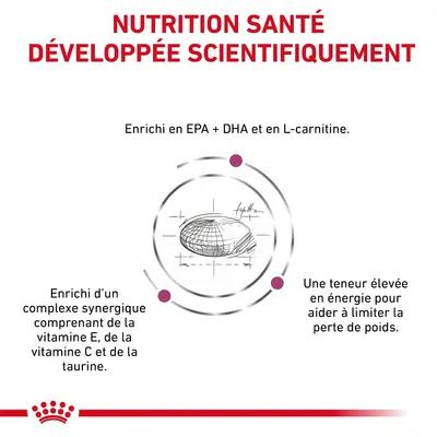 NUTRITION SANTÉ DÉVELOPPÉE SCIENTIFIQUEMENT. Enrichi en EPA + DHA, L-carnitine, complexe synergique avec vitamine E, C et taurine. Haute énergie pour limiter la perte de poids.