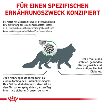 Texte en allemand : Für einen spezifischen Ernährungszweck konzipiert. Explications sur le diabète chez le chat et l'importance du contrôle du poids, schéma d'une silhouette de chat avec croquettes.
