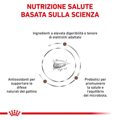 Nutrizione salute basata sulla scienza. Ingredienti a elevata digeribilità e tenore di elettroliti adattato, antiossidanti per difese naturali, prebiotici per salute ed equilibrio microbiota.