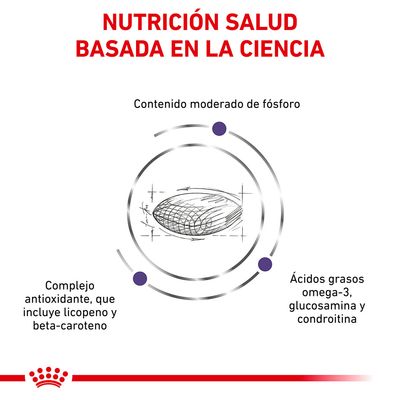 Nutrición salud basada en la ciencia. Contenido moderado de fósforo, complejo antioxidante con licopeno y beta-caroteno, ácidos grasos omega-3, glucosamina y condroitina.