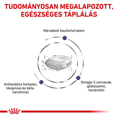 Tudományosan megalapozott, egészséges táplálás. Mérsékelt foszfortartalom. Antioxidáns komplex likopinnal és béta-karotinnal. Omega-3 zsírsavak, glükózamin, kondroitin.