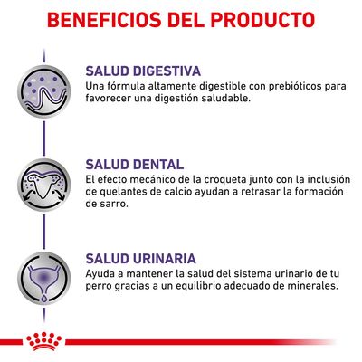 Beneficios del producto: salud digestiva con prebióticos, salud dental por croqueta y quelantes de calcio, salud urinaria gracias a equilibrio de minerales. Texto en español.