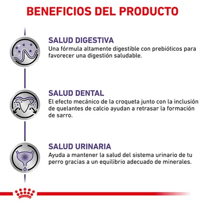 Beneficios del producto: salud digestiva con prebióticos, salud dental por croqueta y quelantes de calcio, salud urinaria gracias a equilibrio de minerales. Texto en español.