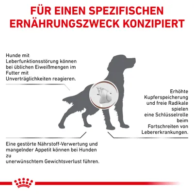 Текст на немецком: Für einen spezifischen Ernährungszweck konzipiert. Описаны проблемы с печенью у собак, влияющие на усвоение питательных веществ и аппетит. Видна схема печени.