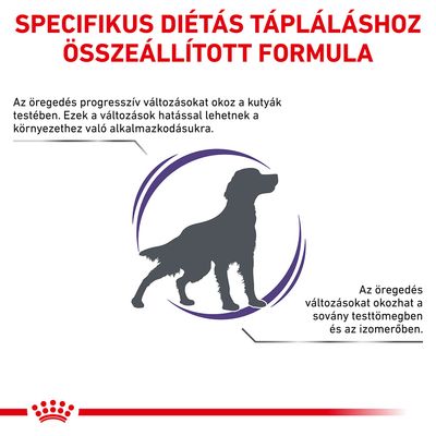 Specifikus diétás tápláláshoz összeállított formula. Az öregedés progresszív változásokat okoz a kutyák testében, hatással lehet az alkalmazkodásra, sovány testtömegre és izomerőre.