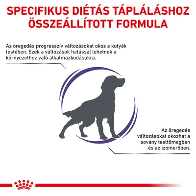 Specifikus diétás tápláláshoz összeállított formula. Az öregedés progresszív változásokat okoz a kutyák testében, hatással lehet az alkalmazkodásra, sovány testtömegre és izomerőre.