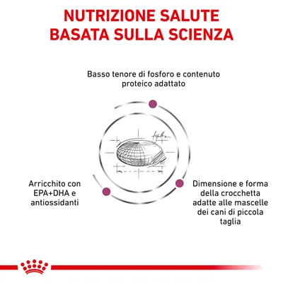 Nutrizione salute basata sulla scienza. Basso tenore di fosforo, contenuto proteico adattato, arricchito con EPA+DHA e antiossidanti, crocchetta adatta a mascelle di cani di piccola taglia.