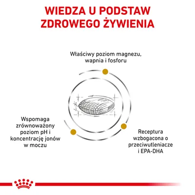 Wiedza u podstaw zdrowego żywienia. Właściwy poziom magnezu, wapnia i fosforu. Wspomaga zrównoważony poziom pH i jonów w moczu. Receptura wzbogacona o przeciwutleniacze i EPA-DHA.