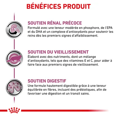 BÉNÉFICES PRODUIT : Soutien rénal précoce, soutien du vieillissement, soutien digestif. Détails sur formulation et nutriments visibles dans l’image.