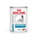 Royal Canin Veterinary Canine Hypoallergenic w musie 24 x 400 g
