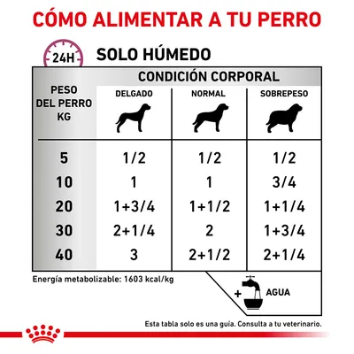 Tabla de raciones diarias de comida húmeda para perros según peso (5–40 kg) y condición corporal: delgado, normal o sobrepeso. Energía metabolizable: 1603 kcal/kg. Añadir agua.