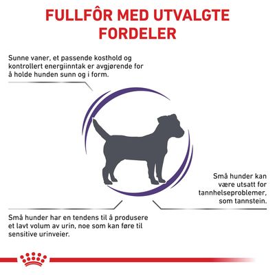 Royal Canin Expert Canine Adult liten hund