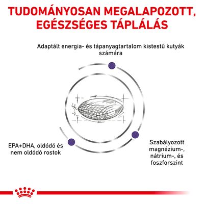 Tudományosan megalapozott, egészséges táplálás. Adaptált energia- és tápanyagtartalom kistestű kutyák számára. EPA+DHA, oldódó és nem oldódó rostok, szabályozott magnézium-, nátrium-, foszforszint.