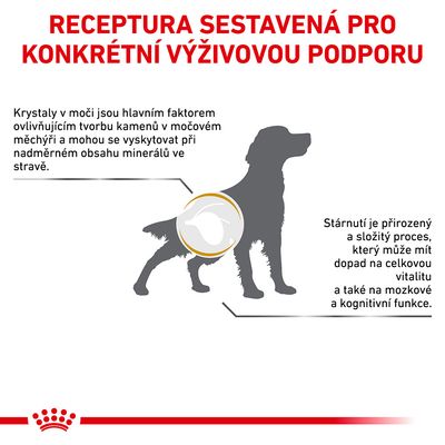 Receptura sestavená pro konkrétní výživovou podporu. Krystaly v moči ovlivňují tvorbu kamenů, stárnutí může ovlivnit vitalitu a kognitivní funkce psa.