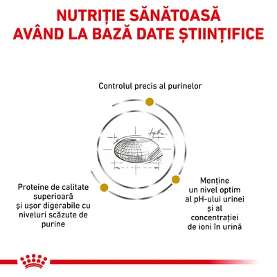 Nutriție sănătoasă având la bază date științifice. Controlul precis al purinelor. Proteine de calitate superioară, ușor digerabile, cu niveluri scăzute de purine. Menține pH-ul optim al urinei.