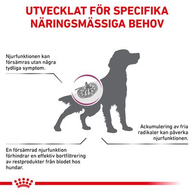 Utvecklat för specifika näringsmässiga behov. Njurfunktionen kan försämras utan tydliga symptom. Ackumulering av fria radikaler kan påverka njurfunktionen. Försämrad njurfunktion hindrar bortfiltrering.
