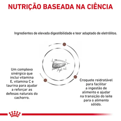 NUTRIÇÃO BASEADA NA CIÊNCIA. Ingredientes de elevada digestibilidade e teor adaptado de eletrólitos. Complexo com vitamina E, C e taurina. Croquete reidratável para facilitar a ingestão.