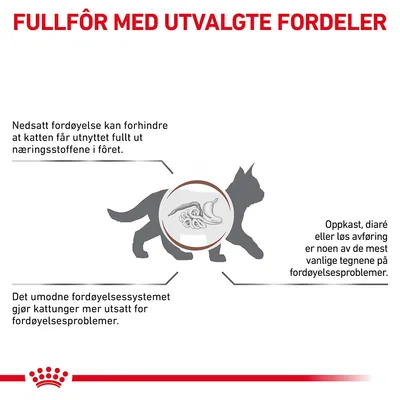 Royal Canin Veterinary Feline Gastrointestinal Kitten