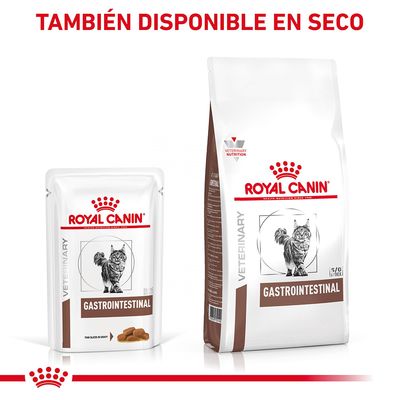 Royal Canin Gastrointestinal VETERINARY para gatos, envase húmedo y saco de pienso seco. Texto visible: 'TAMBIÉN DISPONIBLE EN SECO'. Imagen de un gato en ambos envases.