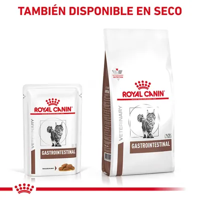 Royal Canin Gastrointestinal VETERINARY para gatos, envase húmedo y saco de pienso seco. Texto visible: 'TAMBIÉN DISPONIBLE EN SECO'. Imagen de un gato en ambos envases.