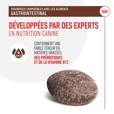 Friandises compatibles avec aliments gastro-intestinaux, développées par des experts en nutrition canine, faible teneur en matières grasses, prébiotiques et vitamine B12 visibles.
