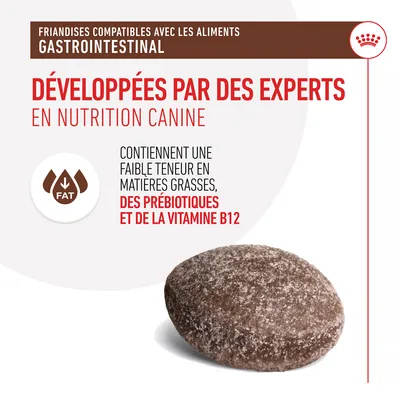 Friandises compatibles avec aliments gastro-intestinaux, développées par des experts en nutrition canine, faible teneur en matières grasses, prébiotiques et vitamine B12 visibles.